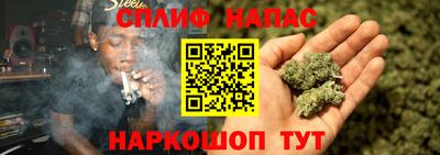 шишки Аша