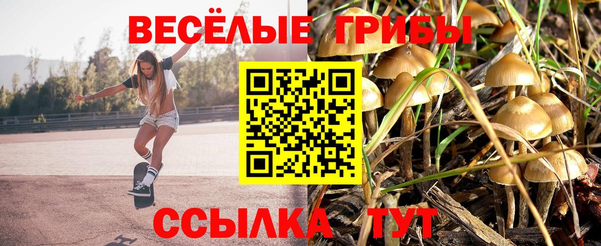 Осинники  что такое наркотик  Псилоцибиновые грибы мицелий  Вход с VPN  Галлюциногенные грибы мухоморы 